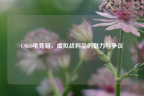 CSGO电竞箱，虚拟战利品的魅力与争议