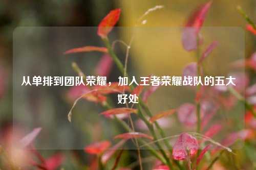 从单排到团队荣耀，加入王者荣耀战队的五大好处