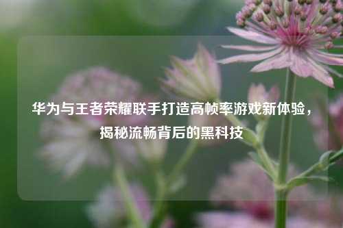 华为与王者荣耀联手打造高帧率游戏新体验，揭秘流畅背后的黑科技