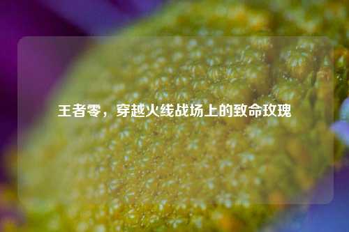 王者零，穿越火线战场上的致命玫瑰