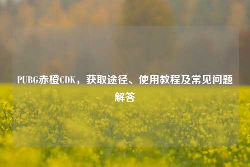 PUBG赤橙CDK，获取途径、使用教程及常见问题解答