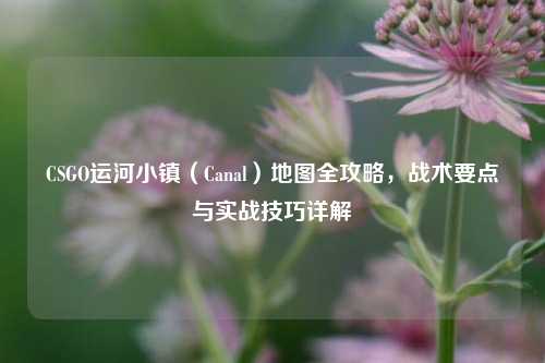 CSGO运河小镇（Canal）地图全攻略，战术要点与实战技巧详解
