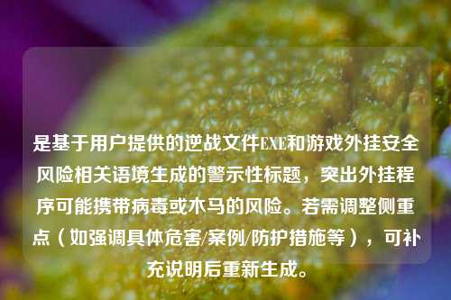 是基于用户提供的逆战文件EXE和游戏外挂安全风险相关语境生成的警示性标题,突出外挂程序可能携带病毒或木马的风险。若需调整侧重点(如强调具体危害/案例/防护措施等),可补充说明后重新生成。