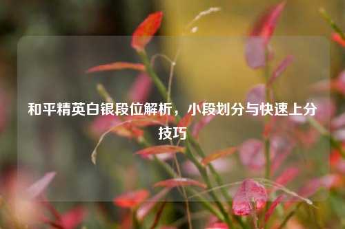 和平精英白银段位解析,小段划分与快速上分技巧