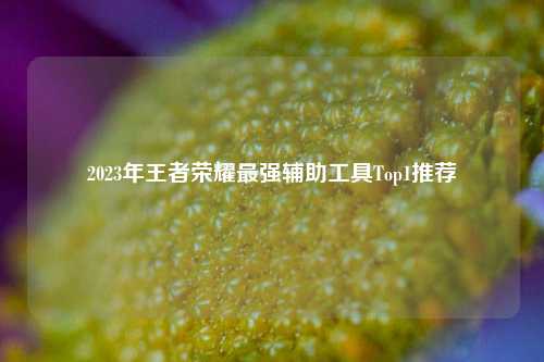 2023年王者荣耀最强辅助工具Top1推荐