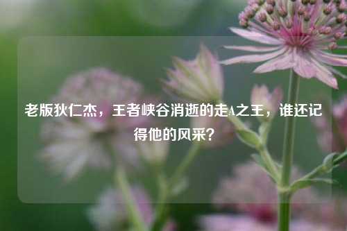 老版狄仁杰,王者峡谷消逝的走A之王,谁还记得他的风采?