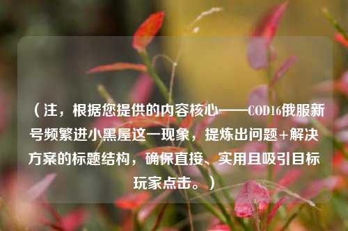 (注,根据您提供的内容核心——COD16俄服新号频繁进小黑屋这一现象,提炼出问题+解决方案的标题结构,确保直接、实用且吸引目标玩家点击。)