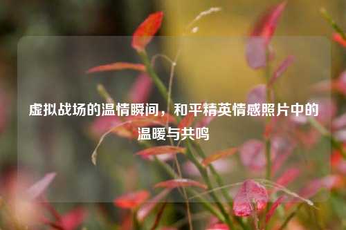 虚拟战场的温情瞬间,和平精英情感照片中的温暖与共鸣