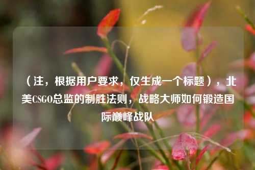 (注,根据用户要求,仅生成一个标题),北美CSGO总监的制胜法则,战略大师如何锻造国际巅峰战队