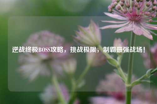 逆战终极BOSS攻略，挑战极限，制霸最强战场！