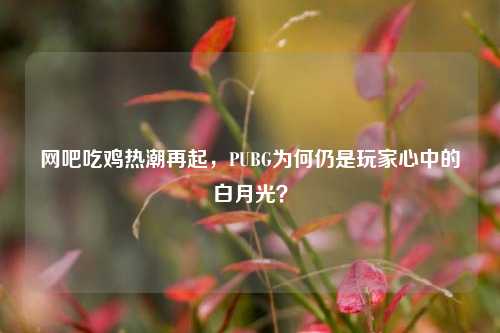 网吧吃鸡热潮再起，PUBG为何仍是玩家心中的白月光？