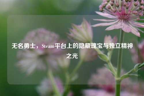 无名勇士,Steam平台上的隐藏瑰宝与独立精神之光