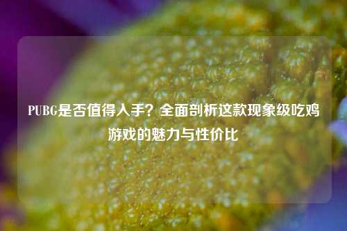 PUBG是否值得入手？全面剖析这款现象级吃鸡游戏的魅力与性价比