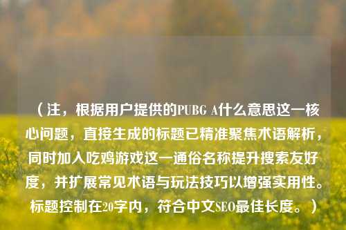 （注，根据用户提供的PUBG A什么意思这一核心问题，直接生成的标题已精准聚焦术语解析，同时加入吃鸡游戏这一通俗名称提升搜索友好度，并扩展常见术语与玩法技巧以增强实用性。标题控制在20字内，符合中文SEO最佳长度。）