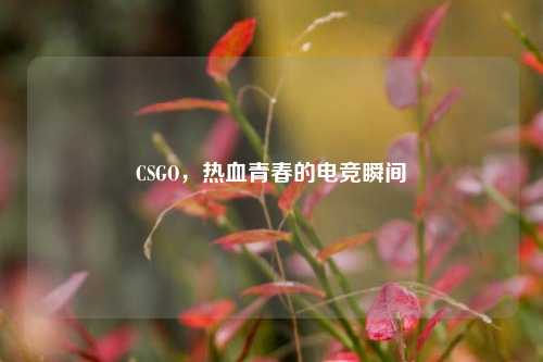 CSGO,热血青春的电竞瞬间