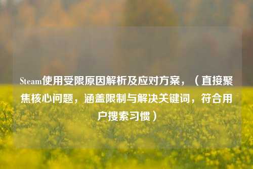 Steam使用受限原因解析及应对方案，（直接聚焦核心问题，涵盖限制与解决关键词，符合用户搜索习惯）