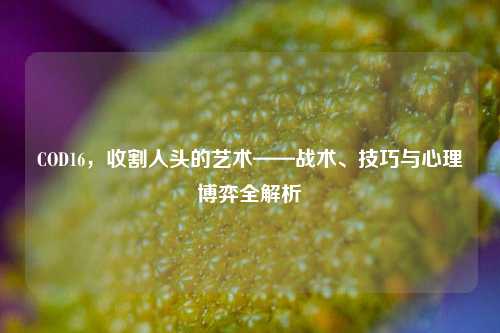 COD16，收割人头的艺术——战术、技巧与心理博弈全解析