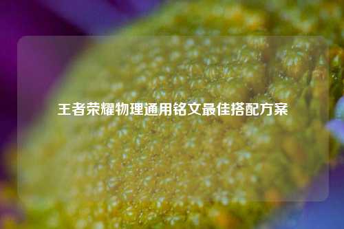 王者荣耀物理通用铭文最佳搭配方案