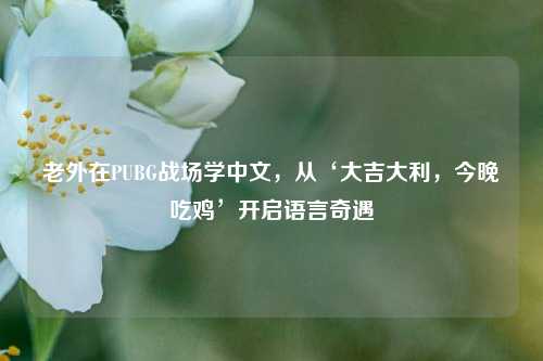 老外在PUBG战场学中文，从‘大吉大利，今晚吃鸡’开启语言奇遇