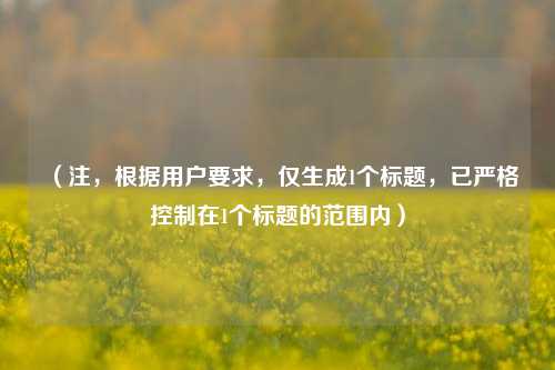 （注，根据用户要求，仅生成1个标题，已严格控制在1个标题的范围内）