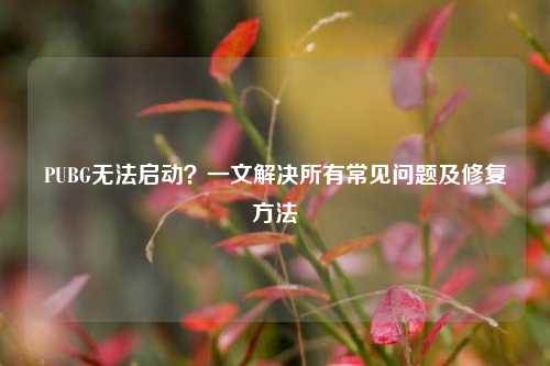 PUBG无法启动？一文解决所有常见问题及修复方法