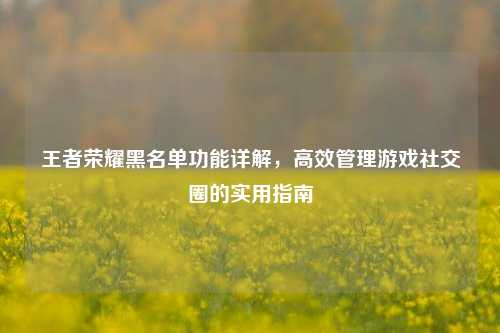 王者荣耀黑名单功能详解，高效管理游戏社交圈的实用指南