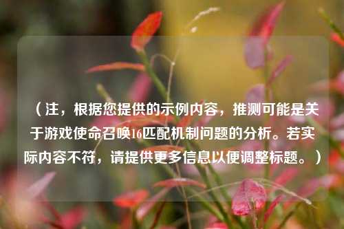 （注，根据您提供的示例内容，推测可能是关于游戏使命召唤16匹配机制问题的分析。若实际内容不符，请提供更多信息以便调整标题。）