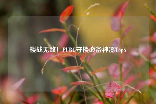楼战无敌！PUBG守楼必备神器Top5