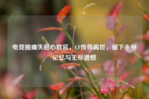 电竞圈痛失甜心教官，CF传奇离世，留下永恒记忆与无尽遗憾