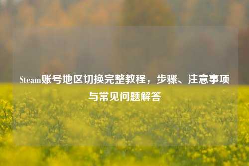 Steam账号地区切换完整教程，步骤、注意事项与常见问题解答