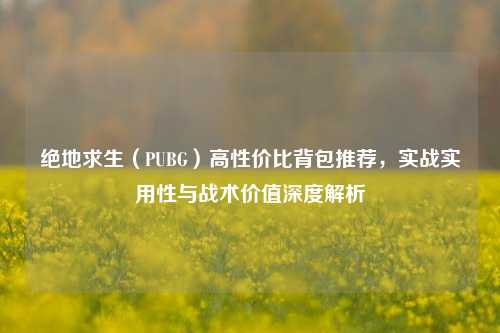 绝地求生（PUBG）高性价比背包推荐，实战实用性与战术价值深度解析