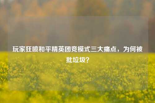 玩家狂喷和平精英团竞模式三大痛点,为何被批垃圾?