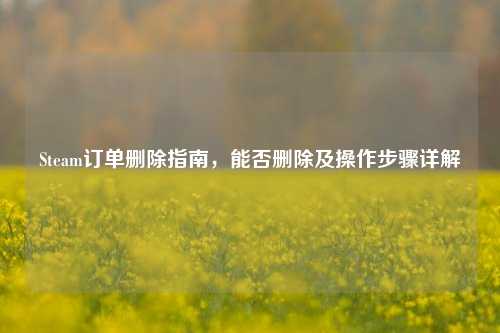 Steam订单删除指南，能否删除及操作步骤详解