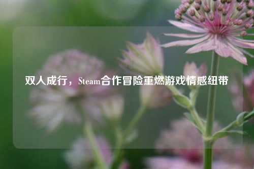 双人成行,Steam合作冒险重燃游戏情感纽带
