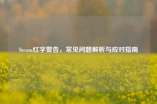 Steam红字警告,常见问题解析与应对指南