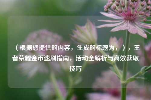 （根据您提供的内容，生成的标题为，），王者荣耀金币速刷指南，活动全解析与高效获取技巧
