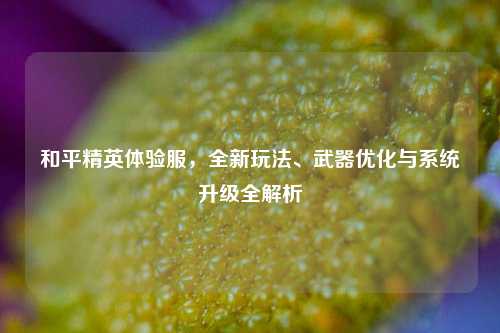 和平精英体验服，全新玩法、武器优化与系统升级全解析
