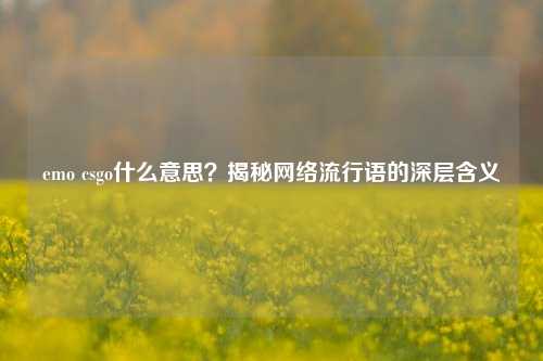 emo csgo什么意思?揭秘网络流行语的深层含义