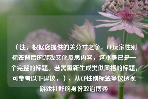 (注,根据您提供的关分寸之争,CF玩家性别标签背后的游戏文化反思内容,这本身已是一个完整的标题。若需重新生成类似风格的标题,可参考以下建议,),从CF性别标签争议透视游戏社群的身份政治博弈
