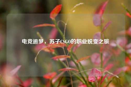 电竞追梦，苏子CSGO的职业蜕变之旅