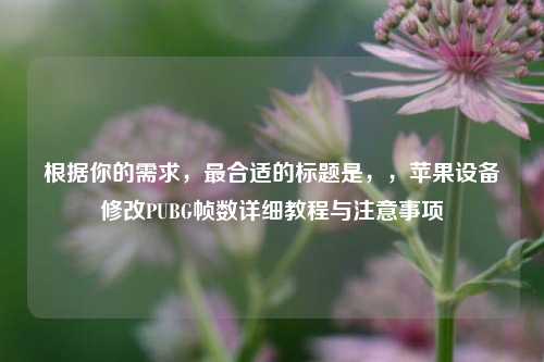 根据你的需求，最合适的标题是，，苹果设备修改PUBG帧数详细教程与注意事项