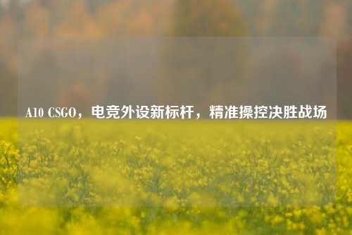 A10 CSGO，电竞外设新标杆，精准操控决胜战场