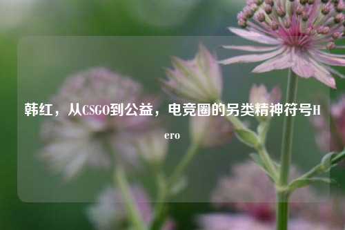 韩红,从CSGO到公益,电竞圈的另类精神符号Hero