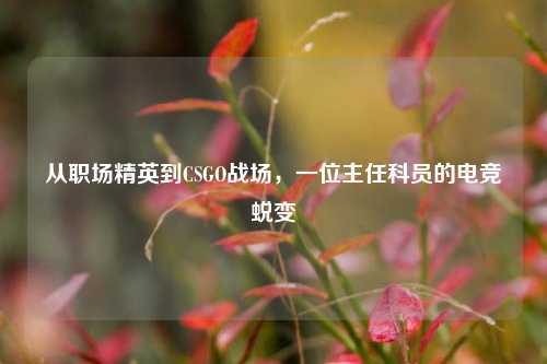 从职场精英到CSGO战场，一位主任科员的电竞蜕变