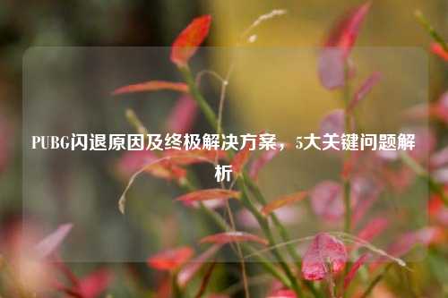 PUBG闪退原因及终极解决方案，5大关键问题解析