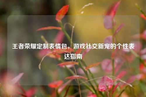 王者荣耀定制表情包，游戏社交新宠的个性表达指南