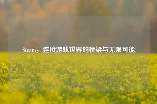 Steam，连接游戏世界的桥梁与无限可能
