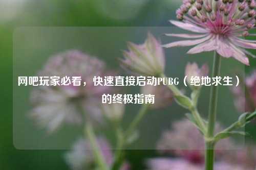 网吧玩家必看,快速直接启动PUBG(绝地求生)的终极指南