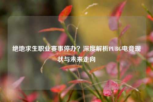 绝地求生职业赛事停办?深度解析PUBG电竞现状与未来走向