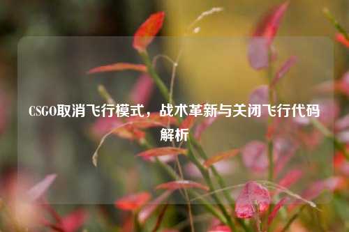 CSGO取消飞行模式，战术革新与关闭飞行代码解析